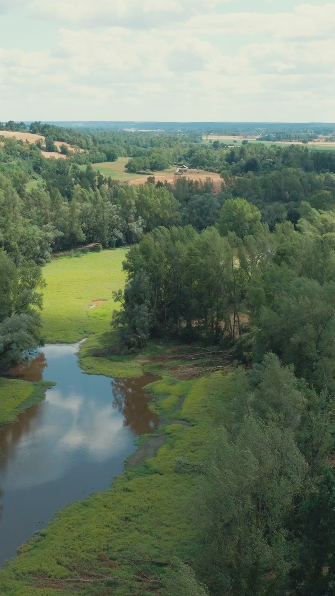 Charger la vidéo : 